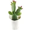 Opuntia Inamoena (ou Tacinga Inamoena) - Pot D14cm 1 Opuntia Inamoena (ou Tacinga Inamoena) - Pot D14cm -Jardin Et Extérieur 1024867 1471930