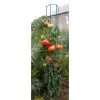 Colonne Tomate : 180cm 1 Colonne Tomate : 180cm -Jardin Et Extérieur 308884 001
