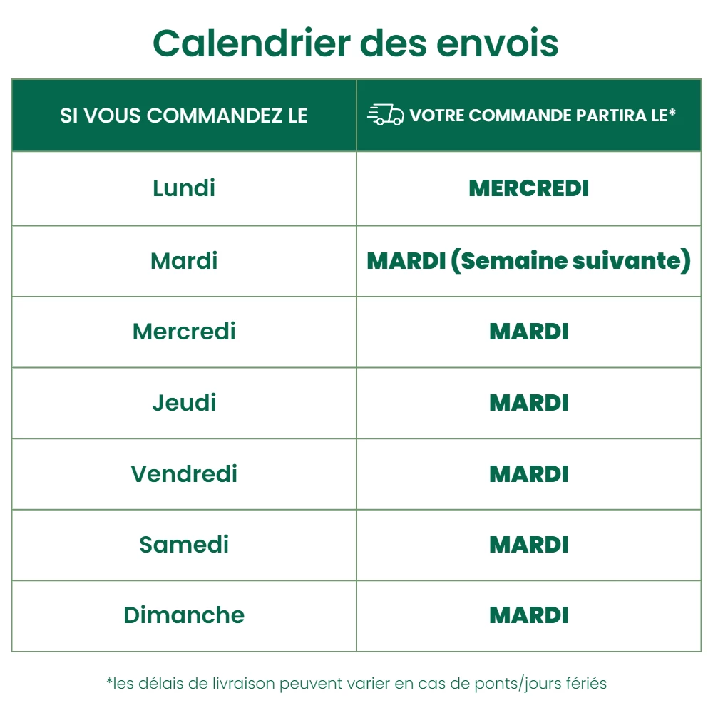 Chrysope 300 Oeufs 4 Chrysope 300 Oeufs – Image 2
