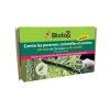 Chrysope 300 Oeufs -Jardin Et Extérieur 644c0d803e3552.75937885