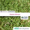 450 X Kikuyu / Gazon Kikuyu En Godet 2 450 X Kikuyu / Gazon Kikuyu En Godet -Jardin Et Extérieur 6495cfbda65974.13803227