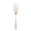 ATMOSPHERA Fagot De Fleurs Et Tiges Séchées Blanc Et Naturel D. 40 X H. 150 Cm -Jardin Et Extérieur 9f698da5e776ea10